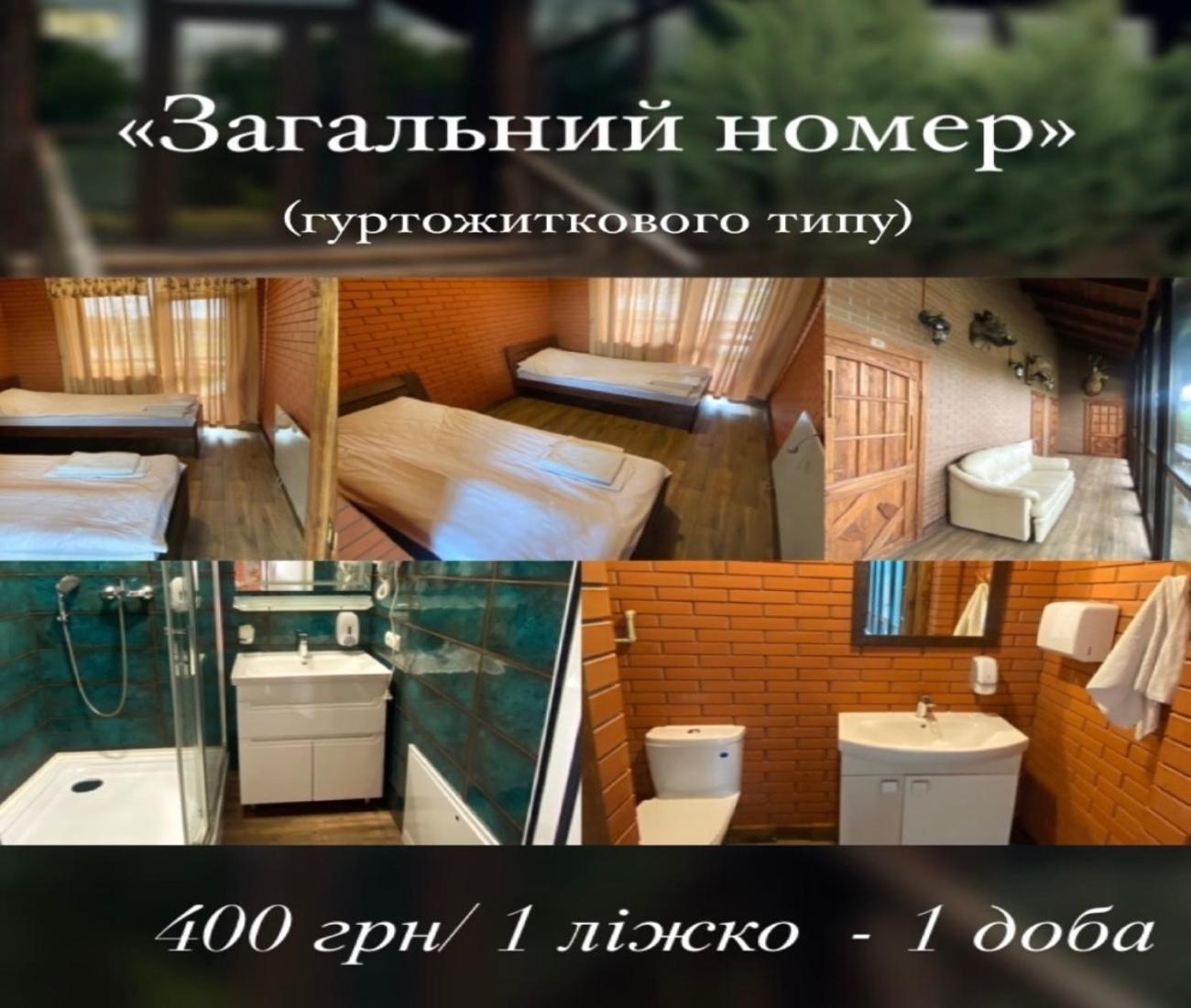 Dvir Litynskyi Отель